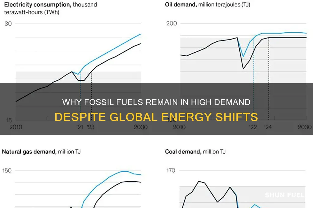 why is there such a high demand for fossil fuel