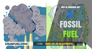Uranium vs. Fossil Fuels: Understanding the Key Differences and Energy Roles