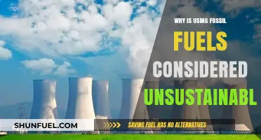 Fossil Fuels' Unsustainable Future: Environmental Impacts and the Need for Change
