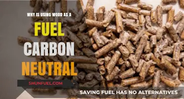 Wood Fuel: A Carbon-Neutral Energy Source for a Greener Future
