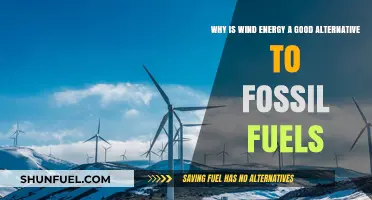 Harnessing Wind Power: A Sustainable Alternative to Fossil Fuels