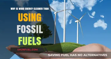 Wind Energy vs. Fossil Fuels: A Cleaner, Greener Power Alternative