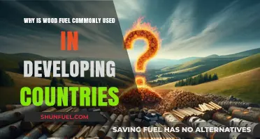 Wood Fuel Reliance: A Lifeline for Developing Nations' Energy Needs