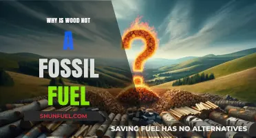 Wood vs. Fossil Fuels: Understanding the Key Differences and Misconceptions