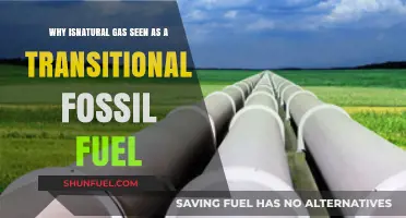Natural Gas: A Bridge to Clean Energy or Fossil Fuel Trap?