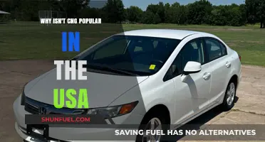 Exploring the Factors Behind CNG's Limited Popularity in the USA