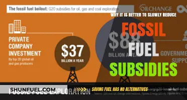 Gradually Cutting Fossil Fuel Subsidies: A Sustainable Path to Energy Transition