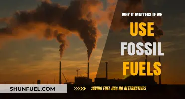 Fossil Fuels' Impact: Why Our Energy Choices Matter Urgently