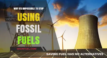 The Stubborn Grip: Why Fossil Fuels Remain Unstoppable in Our Energy Mix