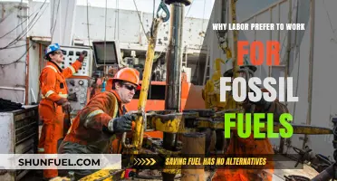 Why Workers Choose Fossil Fuel Jobs Despite Climate Concerns