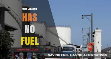 Fuel Crisis in Lebanon: Understanding the Root Causes