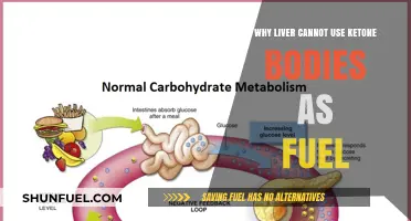 Why the Liver Relies on Glucose, Not Ketones, for Energy