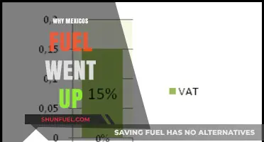 Exploring the Surge: Why Mexico's Fuel Prices Skyrocketed
