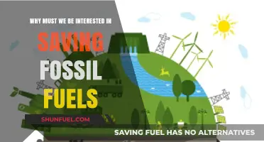Preserving Fossil Fuels: Why Our Future Depends on Conservation Efforts