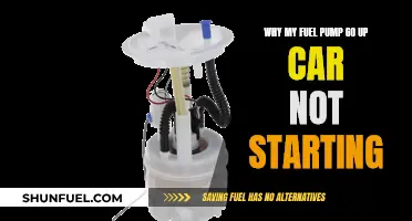 Fuel Pump Failure: Car Not Starting?