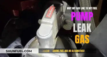 Gas Line Leaking: Fuel Pump Woes