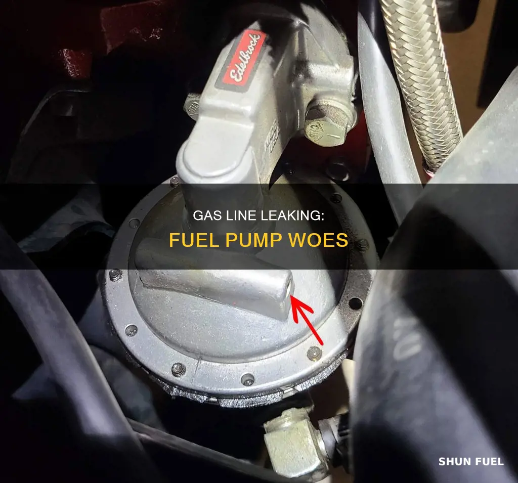 why my gas line to my fuel pump leak gas