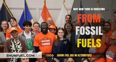 New York's Bold Move: Divesting from Fossil Fuels for a Greener Future