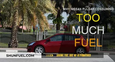 Pulsar Fuel Consumption: What's the Real Issue?