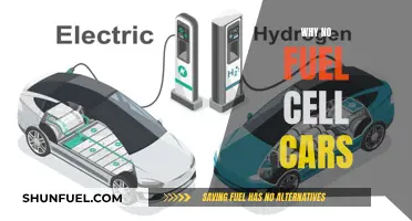 The Future of Fuel Cell Cars: Why They're Not Viable