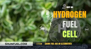 Exploring the Challenges: Why Hydrogen Fuel Cells Haven't Taken Off
