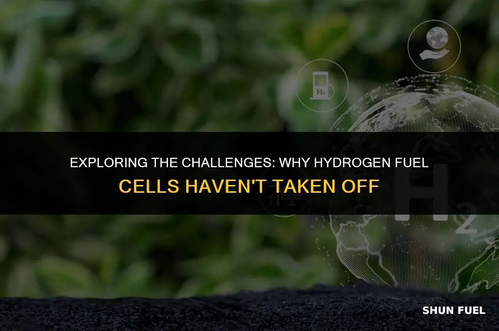 why no hydrogen fuel cell