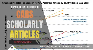 The Fuel-Efficiency Myth: Why Not to Buy Efficient Cars