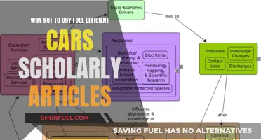 Fuel-Efficient Cars: Academic Insights on Drawbacks