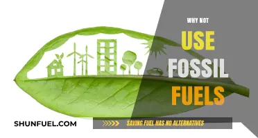 Ditching Fossil Fuels: Cleaner Energy Alternatives for a Sustainable Future