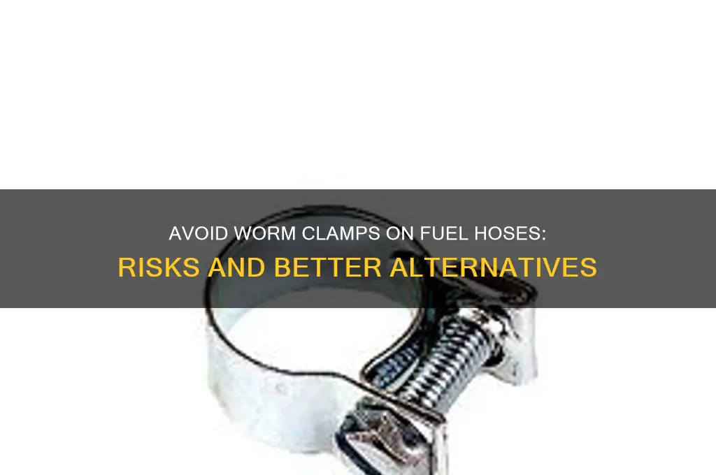 why not use worm clamp on fuel hose