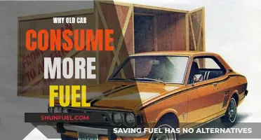 Older Cars: Fuel Consumption and Engine Efficiency