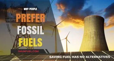 Why Fossil Fuels Remain the Dominant Energy Source for Many
