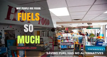 Fossil Fuels: Why We're Hooked