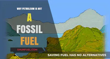 Debunking the Myth: Petroleum's True Origin Beyond Fossil Fuels