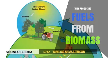 Sustainable Energy Shift: The Benefits of Biomass-Derived Fuels