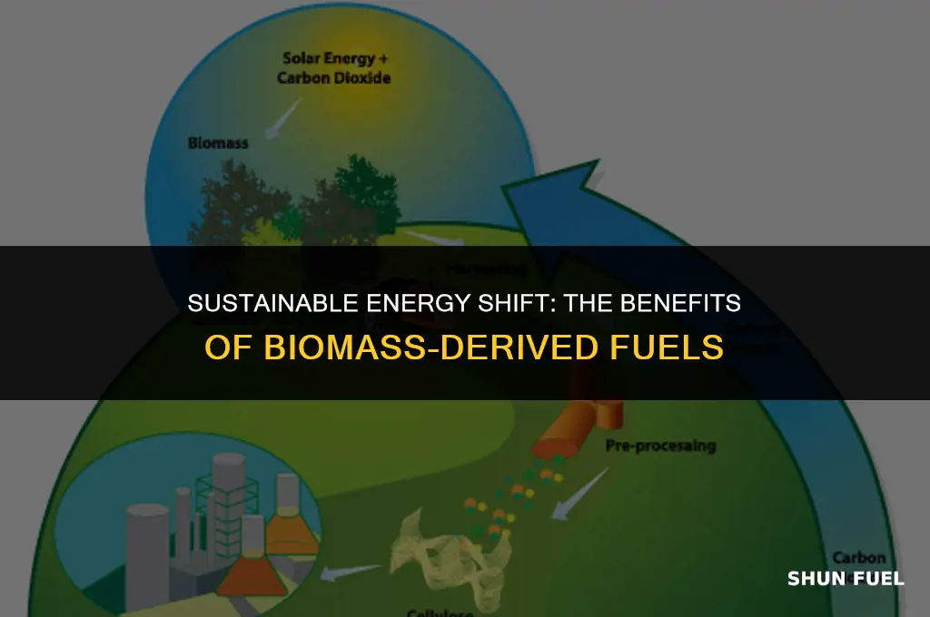 why producing fuels from biomass