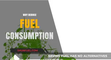 Eco-Friendly Driving: 7 Simple Tips to Reduce Fuel Consumption