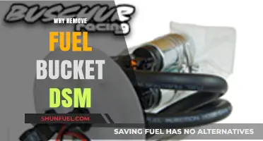 Decoding the DSM: The Controversial Removal of the Fuel Bucket