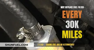 Fuel Filter: Replacing Every 30K Miles, Why?