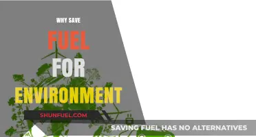 Eco-Friendly Driving: Why Saving Fuel Benefits the Environment