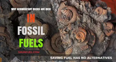 Sedimentary Rocks: The Fossil Fuel Treasure Troves and Their Formation