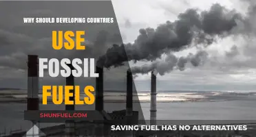 Fossil Fuels: A Pragmatic Path for Developing Nations' Growth