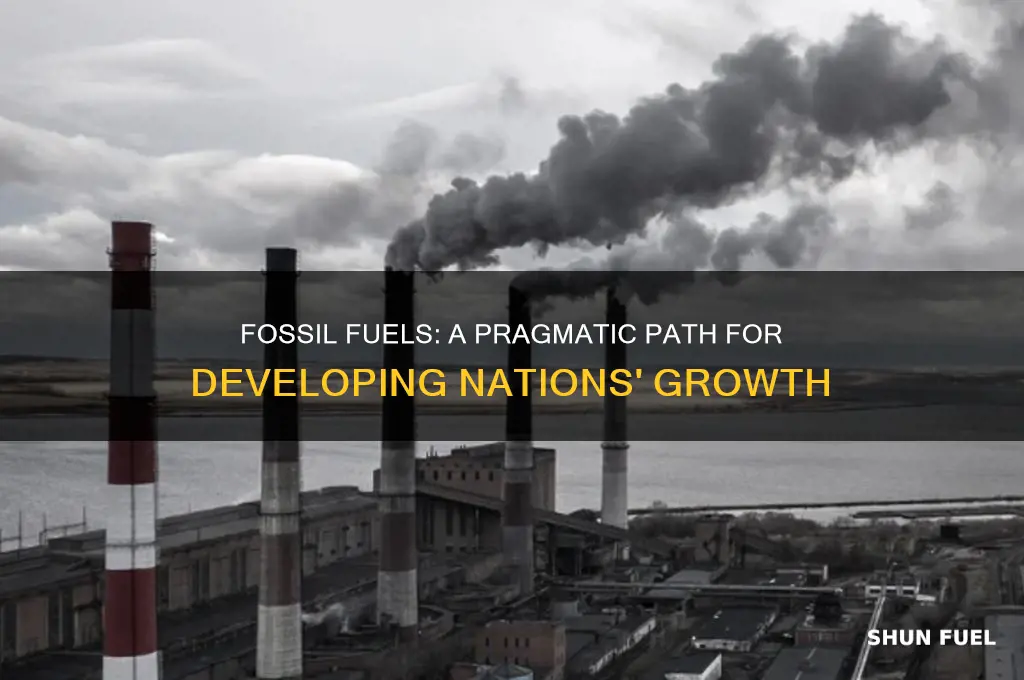 why should developing countries use fossil fuels