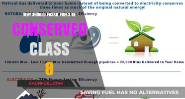 Conserving Fossil Fuels: Essential Reasons for a Sustainable Future, Class 8