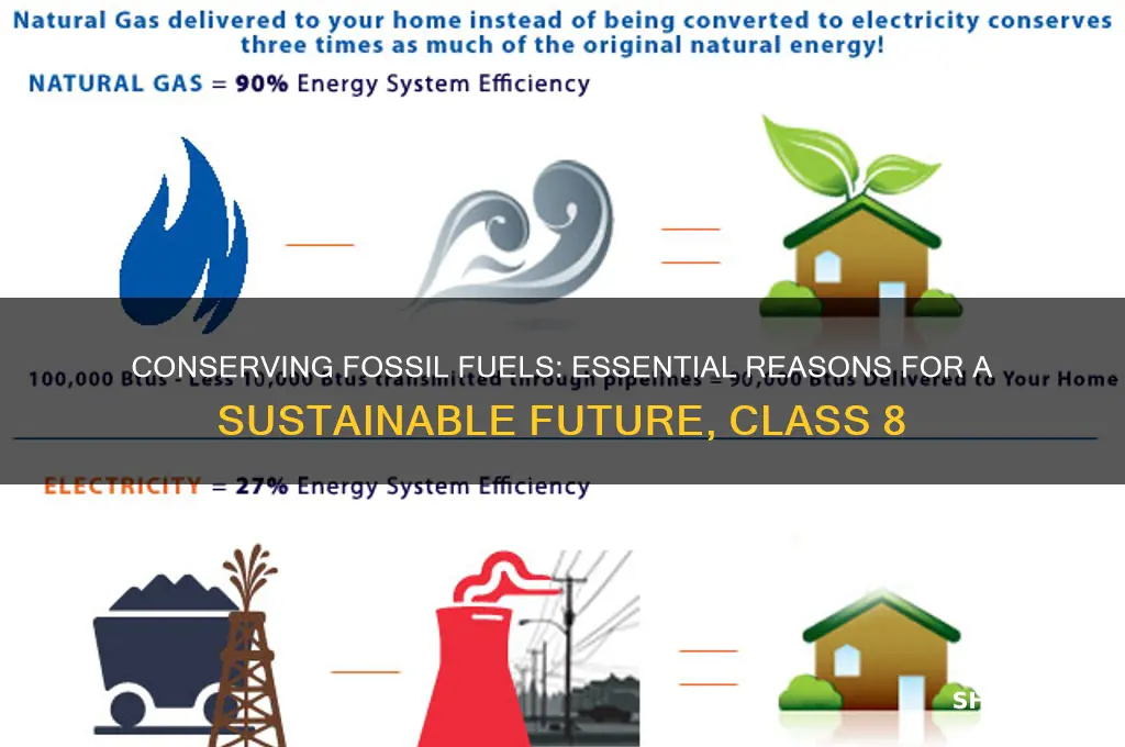 why should fossil fuels be conserved class 8