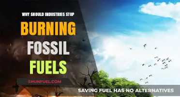 Ending Fossil Fuel Dependence: A Sustainable Path for Industries
