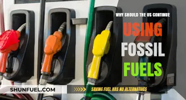 Sustaining Energy Security: Why the US Should Continue Using Fossil Fuels