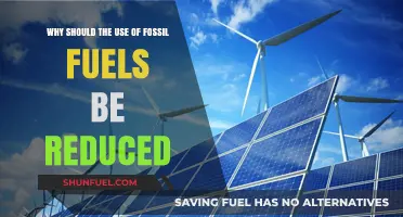 Reducing Fossil Fuels: Urgent Steps for a Sustainable Future