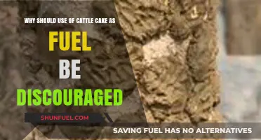 Cattle Cake as Fuel: Environmental and Economic Reasons to Avoid