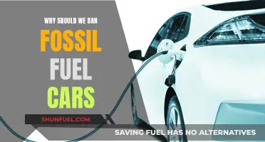 The Future is Green: Banning Fossil Fuel Cars